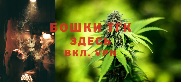 гидра Алексеевка