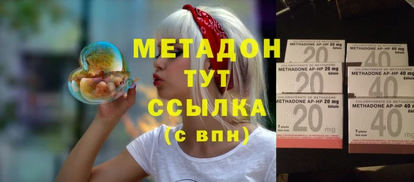 прущие грибы Абинск