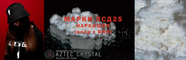 прущие грибы Абинск