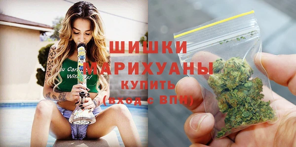 прущие грибы Абинск