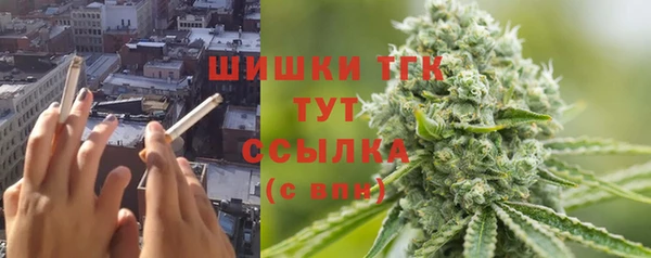 гидра Алексеевка
