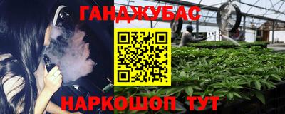крисы Гусь-Хрустальный